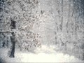 Зимняя мелодия-The winter melody 