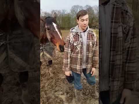 David Britnell Eventing - About our INB System