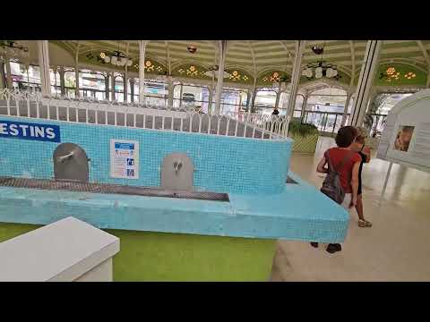 Vichy, France: Drinking Hall for the mineral water sources. Day 31 of cycling Portugal to Germany