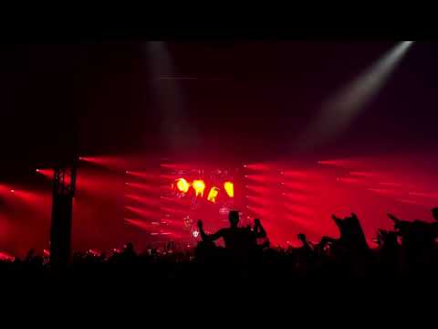 Dual Damage - Detonation @ Rebirth Festival 2024