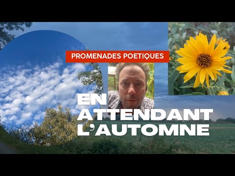 En attendant l'automne...