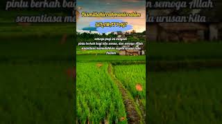 Download lagu Story wa selamat pagi mp3 Download lagu Story wa selamat pagi mp3