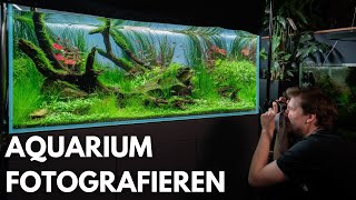 So machst du den perfekten Final Shot für den IAPLC (mit Kamera & Handy!)