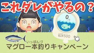 タヌキマイレージ＋のマグロ一本釣りキャンペーンにチャレンジだ【あつ森ゆっくり実況】