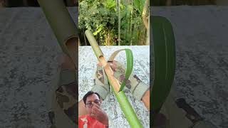Download lagu Cara membuat senjata dari bambu #diy #bamboo mp3 Download lagu Cara membuat senjata dari bambu #diy #bamboo mp3