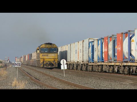 6MP4 Crosses 7902V - Pacific National Container Trains (9/7/2021) - PoathTV Australian Railways