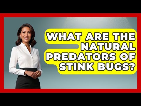 What Are The Natural Predators Of Stink Bugs? - Insects and Invaders