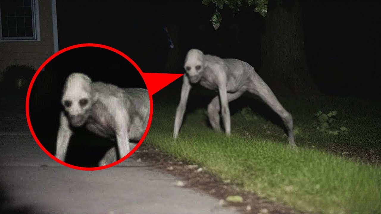 30 Creature Sightings That Keep Viewers on Edge Night After Night