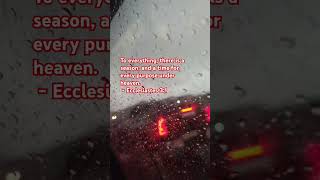 I hope u have a great day today. #pullupyoshorts #motivation #foodie #inspirationalvideo #shorts