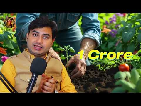 Best wishes by Dr Anshuman singh,  chairman Ibsea