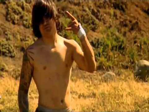 Andreu Lacondeguy NWD