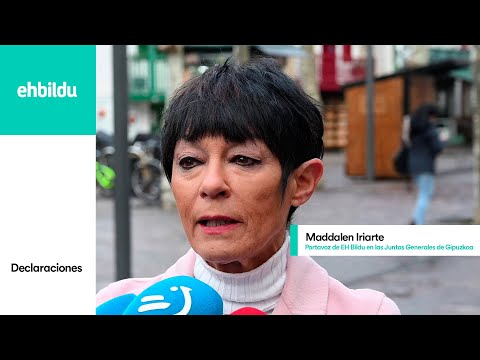 Declaraciones de MADDALEN IRIARTE sobre la compra de Ayesa