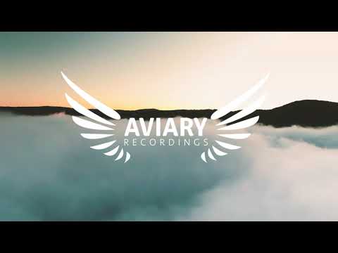 Aves Volare & Heerhorst Ft. Skybird - Healing (Original Mix)