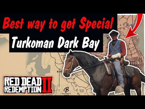 2 Best ways to obtain Special Braithwaite Turkoman