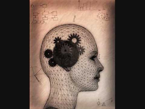 Tsunami Brothers - Building Pakelika Robots