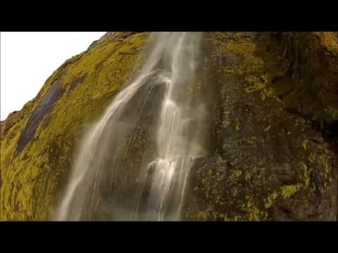 Sanity video