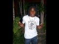 Wayne Marshall - Captain {Captain Riddim} [Yard Vybz] Jan 2011