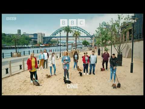 BBC One - First Rebrand Startup - 20th October 2021