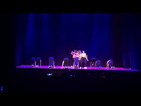 crew adultos  Edamyg