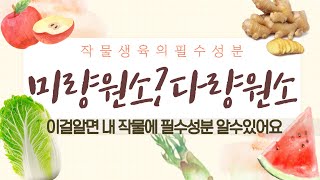 텃밭작물이 이상했던 이유는 이 성분이 때문에  / 공부하고 있어요 / 작물생육필수원소 / 출처 농사로