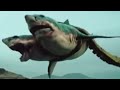 The Sea Monster 2023 2 Headed Shark Screen Time