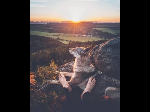 Oroscopo Luglio 2019:Segno Zodiacale dell'Ariete!