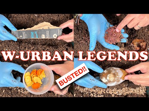 Worm Bin Myths Tested, Busted & Confirmed! | Vermicompost Worm Farm