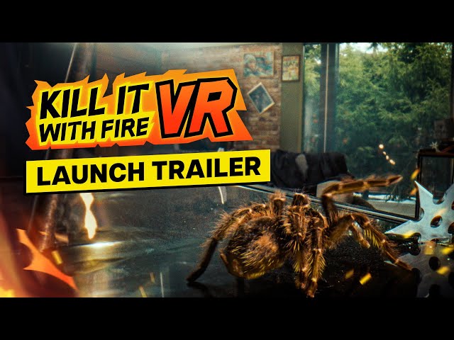 Kill It With Fire VR