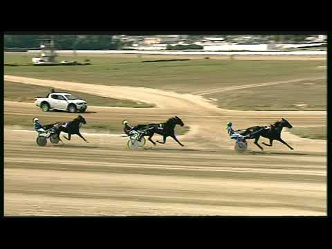 Trotto 13/09/2020 - 2ª corsa