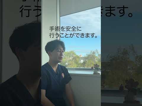 ビバノスケいんたびゅー（2025年11月）