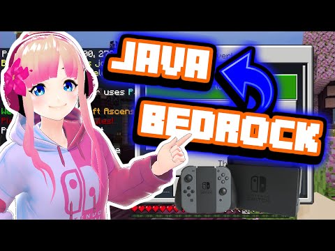 Convert Minecraft Java to Bedrock on Switch!