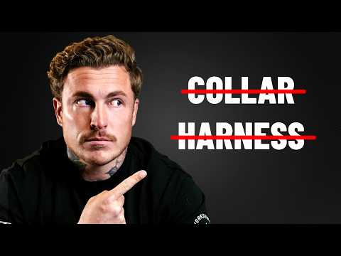 How to STOP Leash Pulling FAST (Simple Step-by-Step)