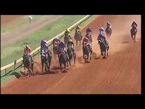 20190325 Flamingo Park Race 6 won by HONEST PRINCE