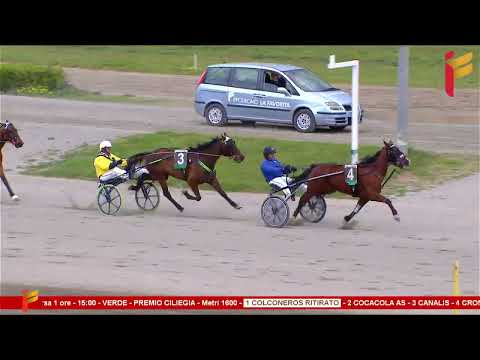 I Corsa del 5 aprile 2023 - 5 e 6 Anni - Metri 1600 - Gentlemen