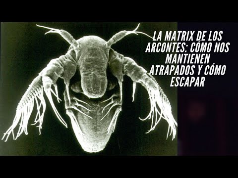 Cómo escapar de la MATRIX de los ARCONTES? (Gnosticismo)