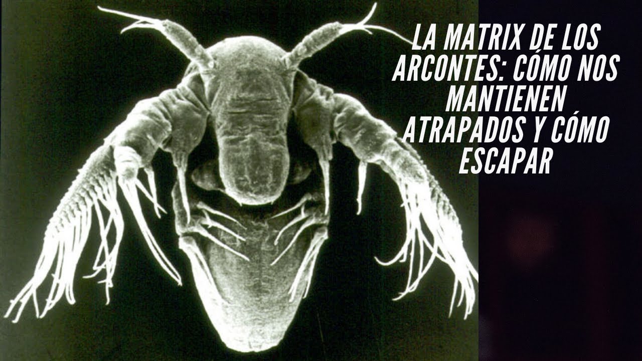Cómo escapar de la MATRIX de los ARCONTES? (Gnosticismo)