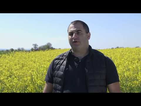 Ratarska PROIZVODNJA u selu CIRIKOVAC - U nasem ataru 998