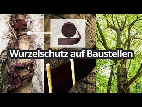 🌳Wurzelschutz auf Baustellen ♻️ 100% BIOLOGISCH ABBAUBAR #wassersparen