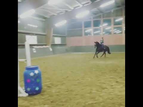 Trening skoki 05-01- 2019