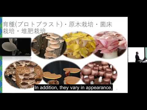 【英語字幕】きのこによるSDGs（持続可能な開発目標）の可能性｜東京農業大学学長　江口　文陽
