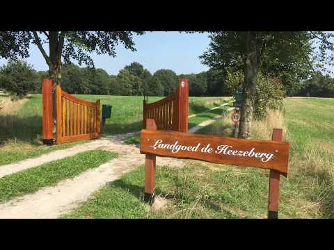Natuurhuisje Drenthe in bos bij Nationaal Park | Landgoed De Heezeberg te Diever