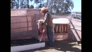 Born Wild   Chapters 6 & 9   Malachi Our First Baby   Conceived in the wild