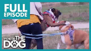 Thumbnail del capítulo