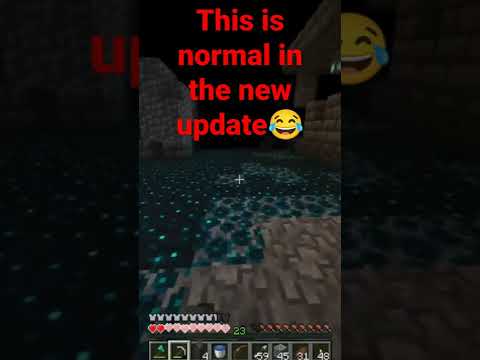 Insane Minecraft Update! 🎮😂 #YouTubeShorts
