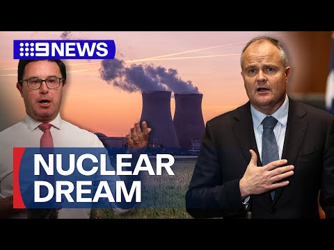 Nuclear power praised by the Coalition's energy policy architects | 9 News Australia