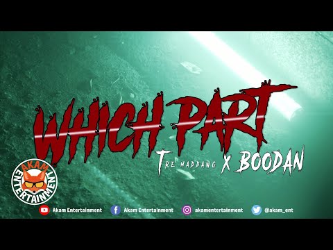 Tre Maddawg x Boodan - Which Part [Official Music Video 4K]