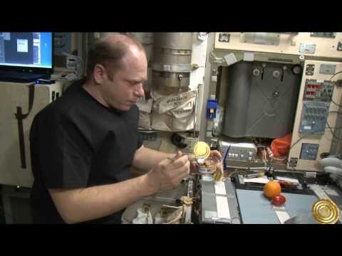Station Crew Sends Thanksgiving Message, Shows Off Selection of Food