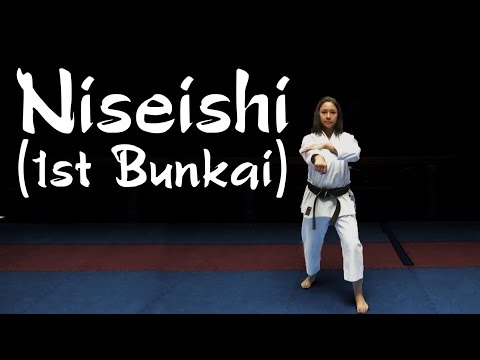 Bunkai For The first Sequence In Niseishi - Minute Karate