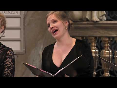 Macmillan – Miserere | Ars Nova Copenhagen