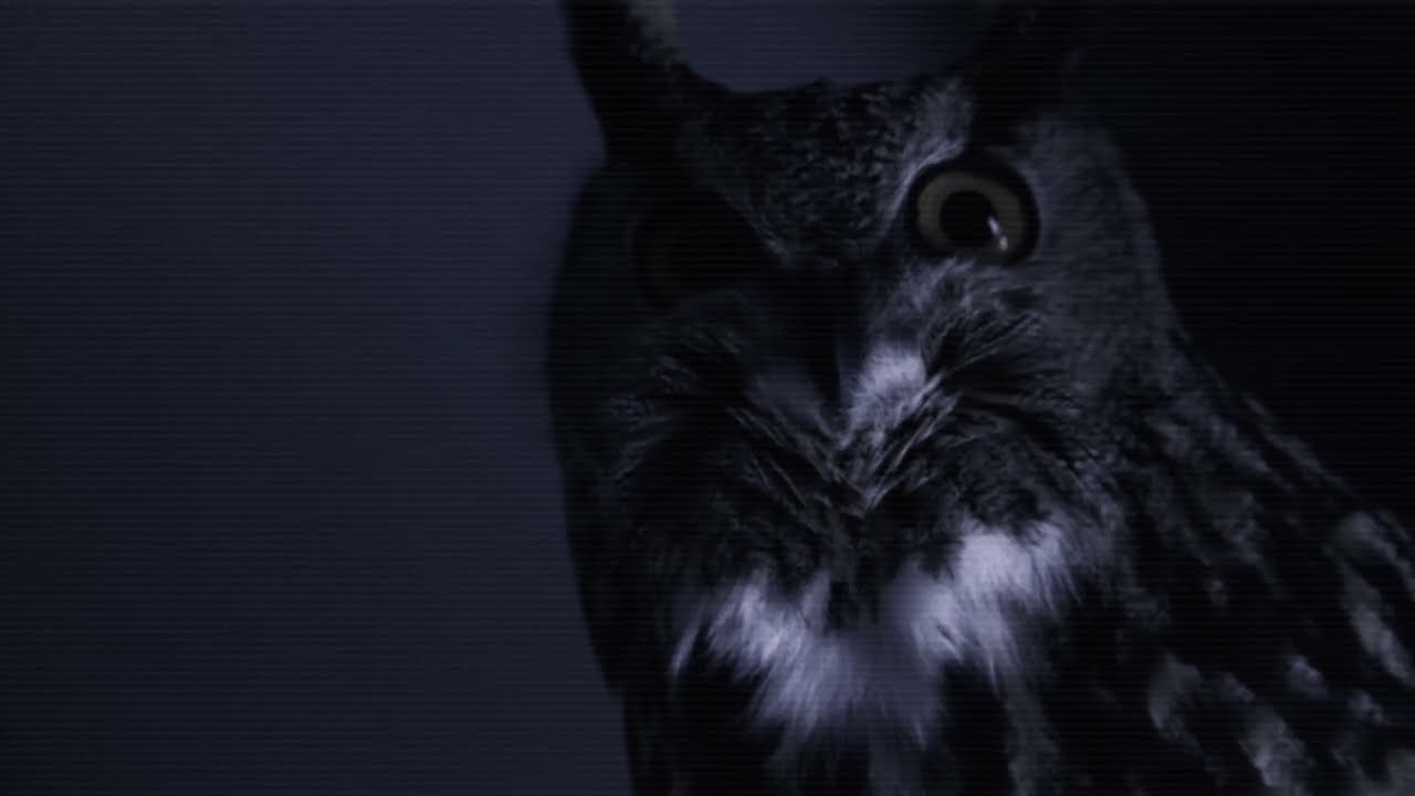 Teaser